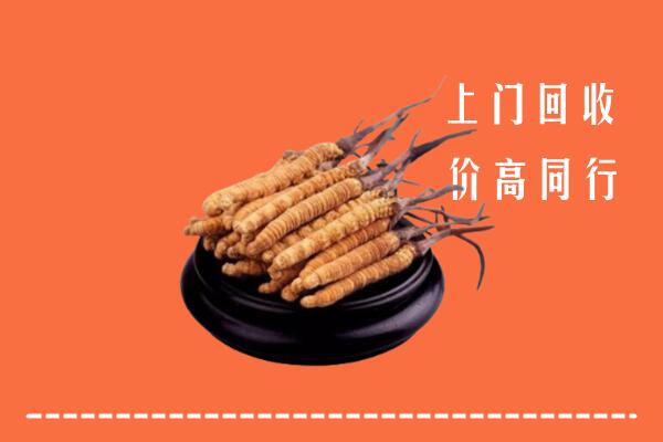 高价求购：黎平县回收散虫草