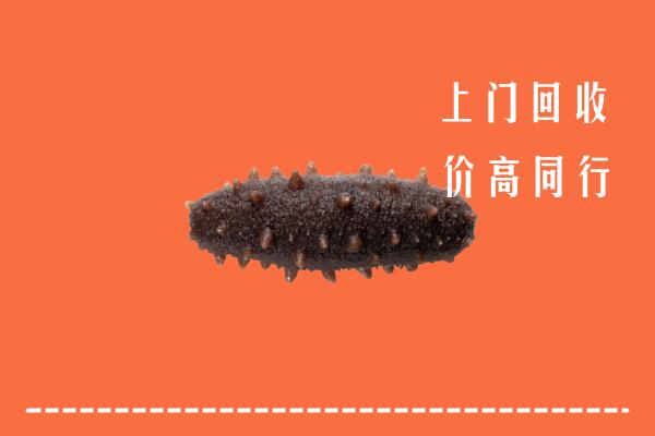 高价求购：黎平县回收海参