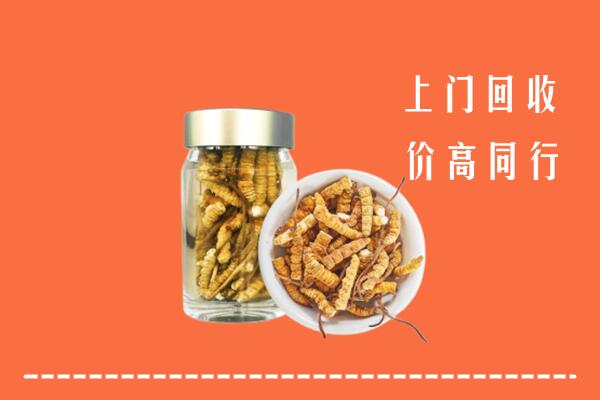 黎平县回收冬虫夏草